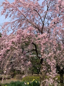 シルクふれんどりぃ（シルクの里公園）