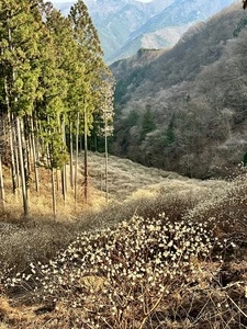 梅田ふるさとセンター