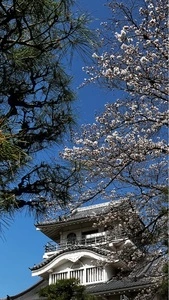 歌舞伎文化公園ぼたん園