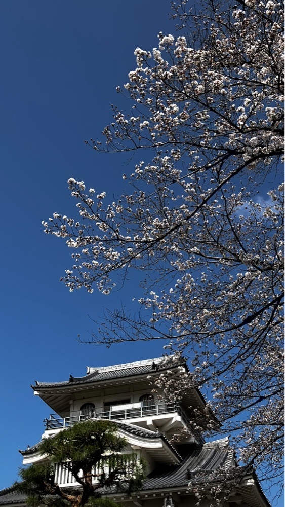 take.aさんが投稿した歌舞伎文化公園ぼたん園に関する口コミの画像