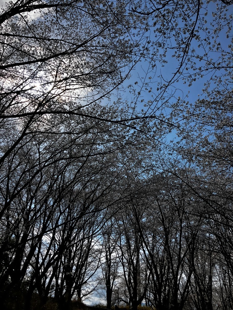 take.aさんが投稿した歌舞伎文化公園ぼたん園に関する口コミの画像