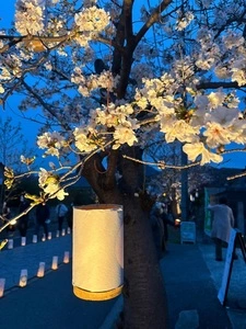 本妙寺