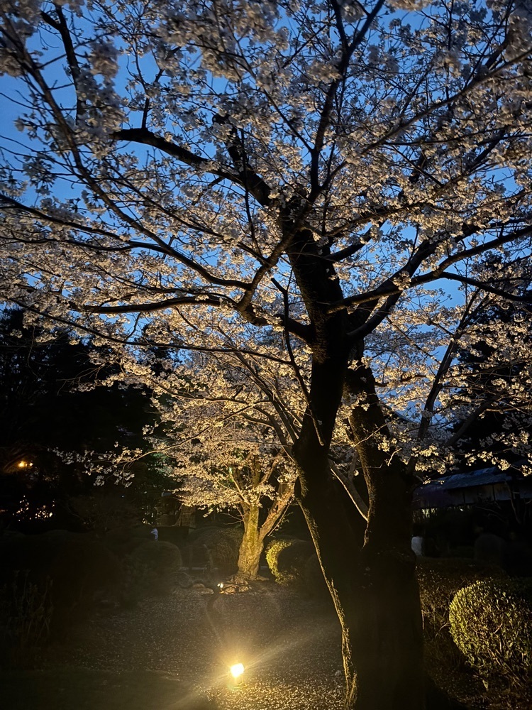 luckyさんが投稿した本妙寺に関する口コミの画像