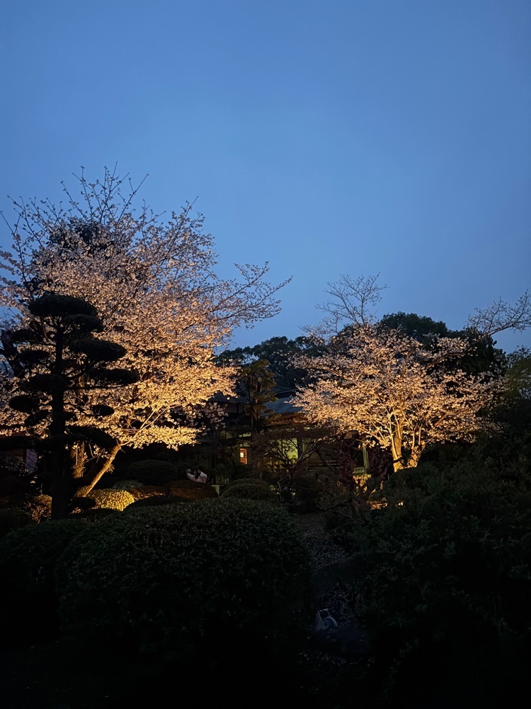 luckyさんが投稿した本妙寺に関する口コミの画像