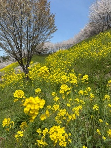 菊池公園 2枚目