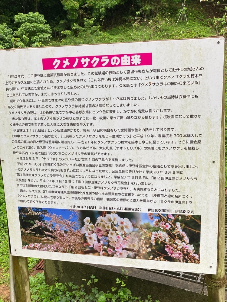 ゴンさんが投稿した山原そば（やんばるそば）に関する口コミの画像