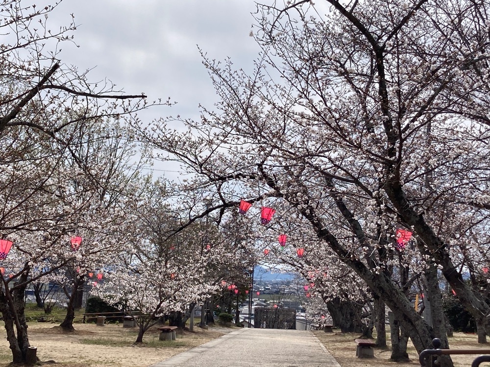 うーとらマンさんが投稿した早島公園に関する口コミの画像
