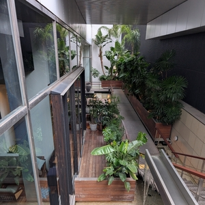 GINGER GRASS modern thai vietnamese