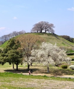 石田堤