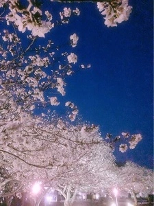 宮崎県総合文化公園
