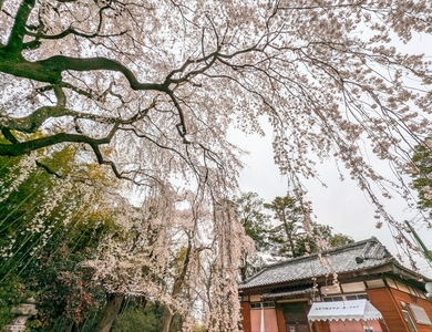 施設画像