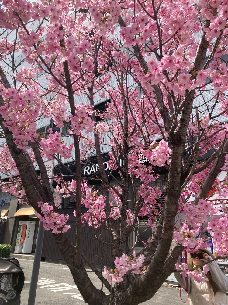 京都を巡る会・「武」さんが投稿した不二家 四条大宮店に関する口コミの画像