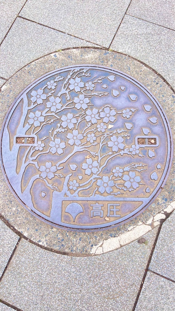 miiさんが投稿した上野公園の桜に関する口コミの画像