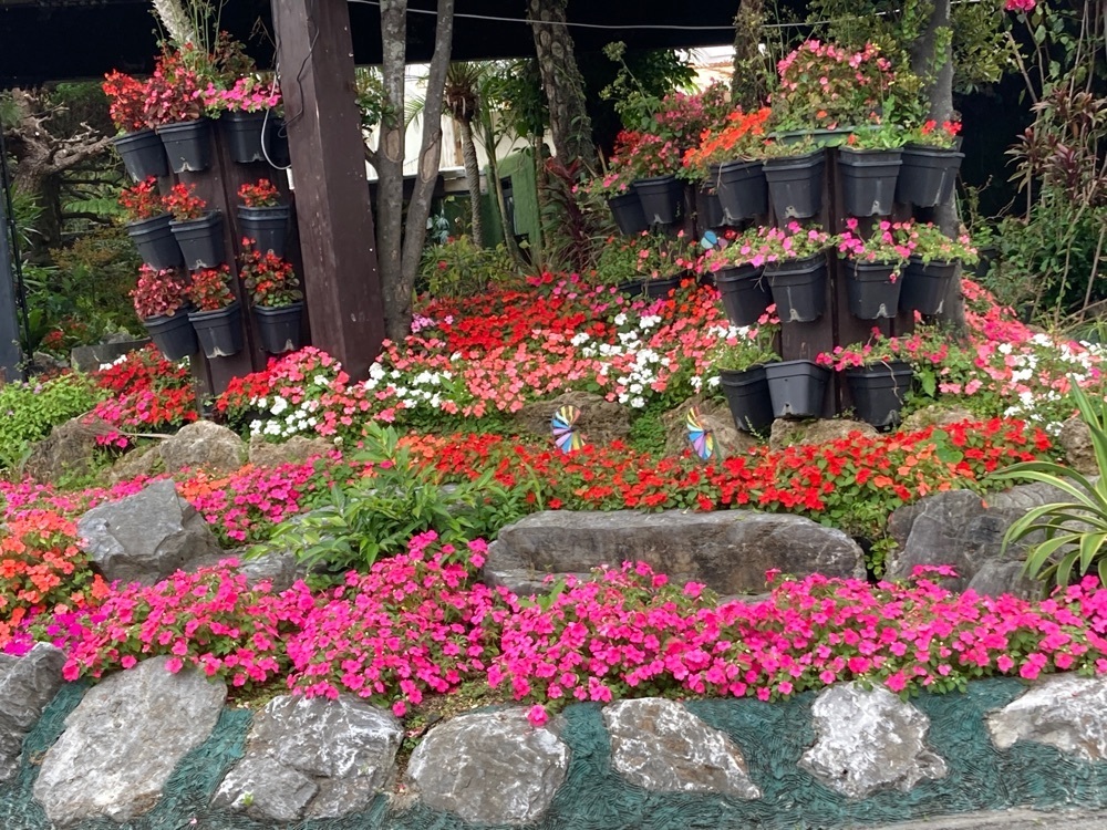 ゴンさんが投稿したたまご屋に関する口コミの画像