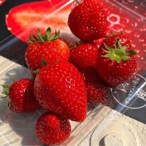 ストロベリーガーデンロイヤル（STRAWBERRY GARDEN ROYAL）
