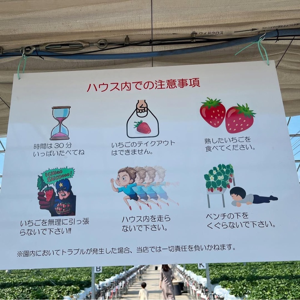 kaze_gourmetさんが投稿したストロベリーガーデンロイヤル（STRAWBERRY GARDEN ROYAL）に関する口コミの画像