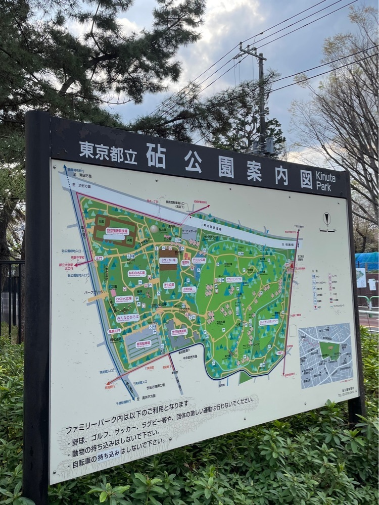 ❁⃘*.ﾟ·͜·♡さんが投稿した砧公園に関する口コミの画像