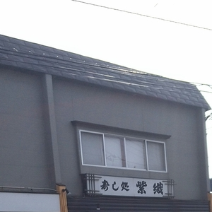 紫織寿し