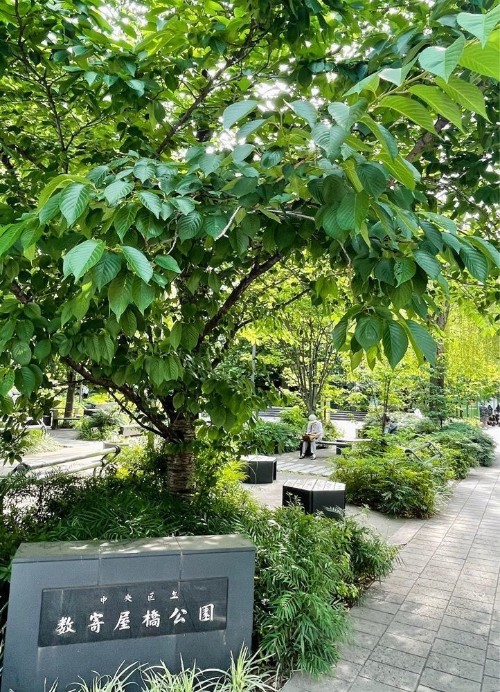 active34さんが投稿した数寄屋橋公園に関する口コミの画像