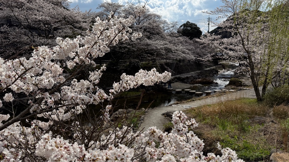 みぃさんが投稿した長門湯本温泉に関する口コミの画像