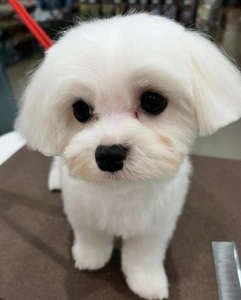 はま寿司 アクロスプラザ岡南店