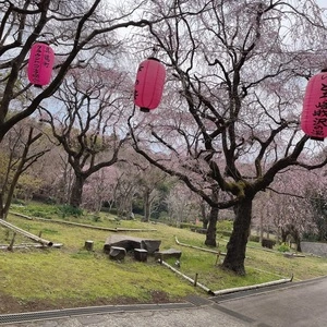 荒井城址公園