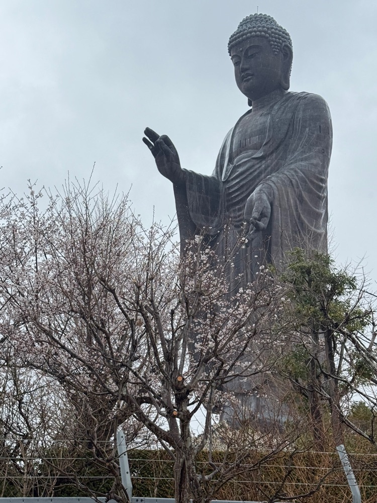 jun1216さんが投稿した銘菓の老舗 あさ川 牛久大仏店に関する口コミの画像