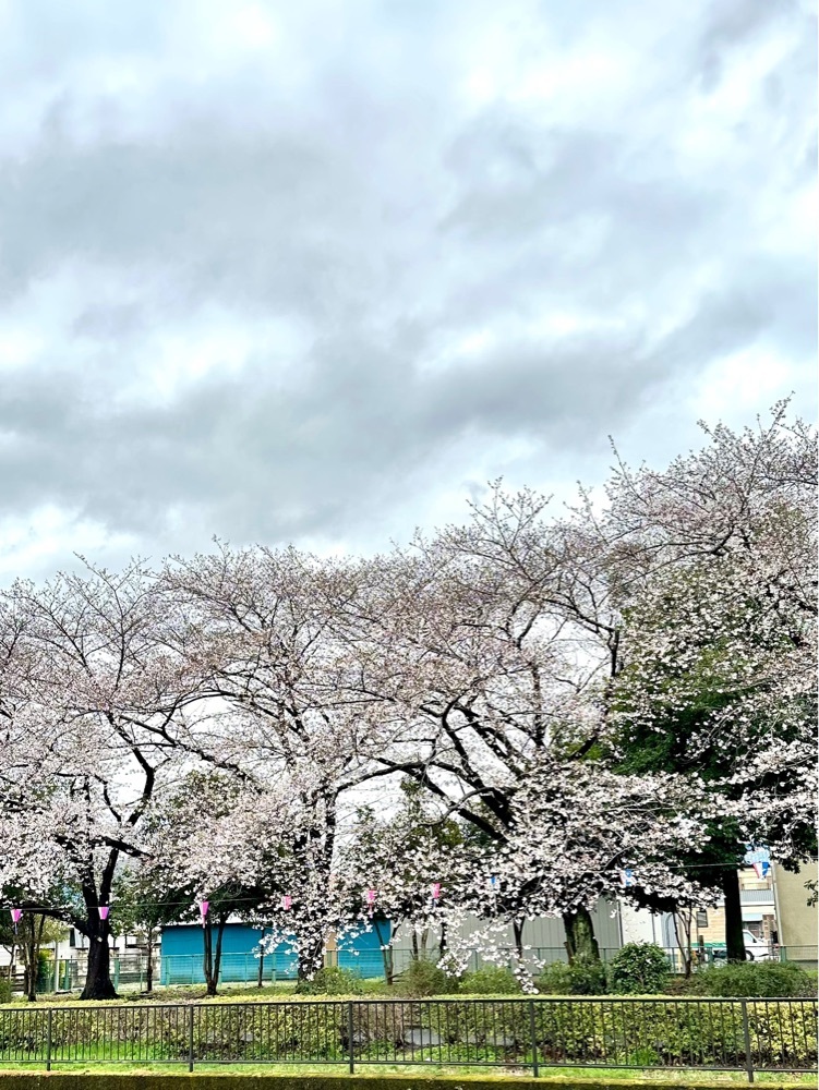 からっ風②さんが投稿した館林市役所に関する口コミの画像