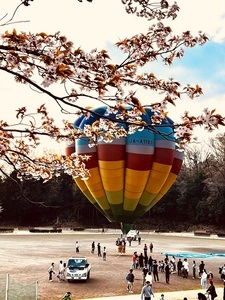 中井中央公園