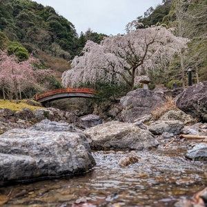 原始の不動滝紀勢笠木渓谷