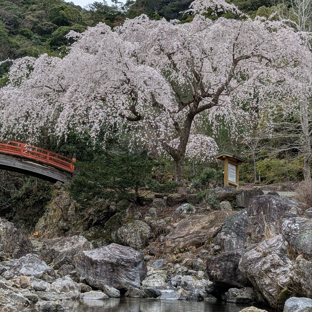 ぬっくさんが投稿した原始の不動滝紀勢笠木渓谷に関する口コミの画像