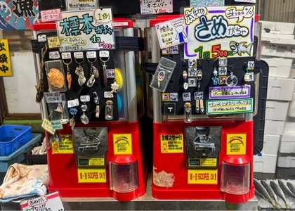 田尻漁港