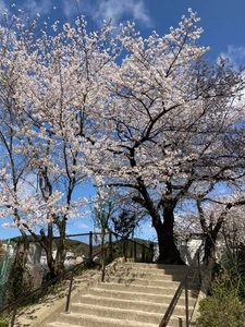 梅香堂（ばいこうどう）