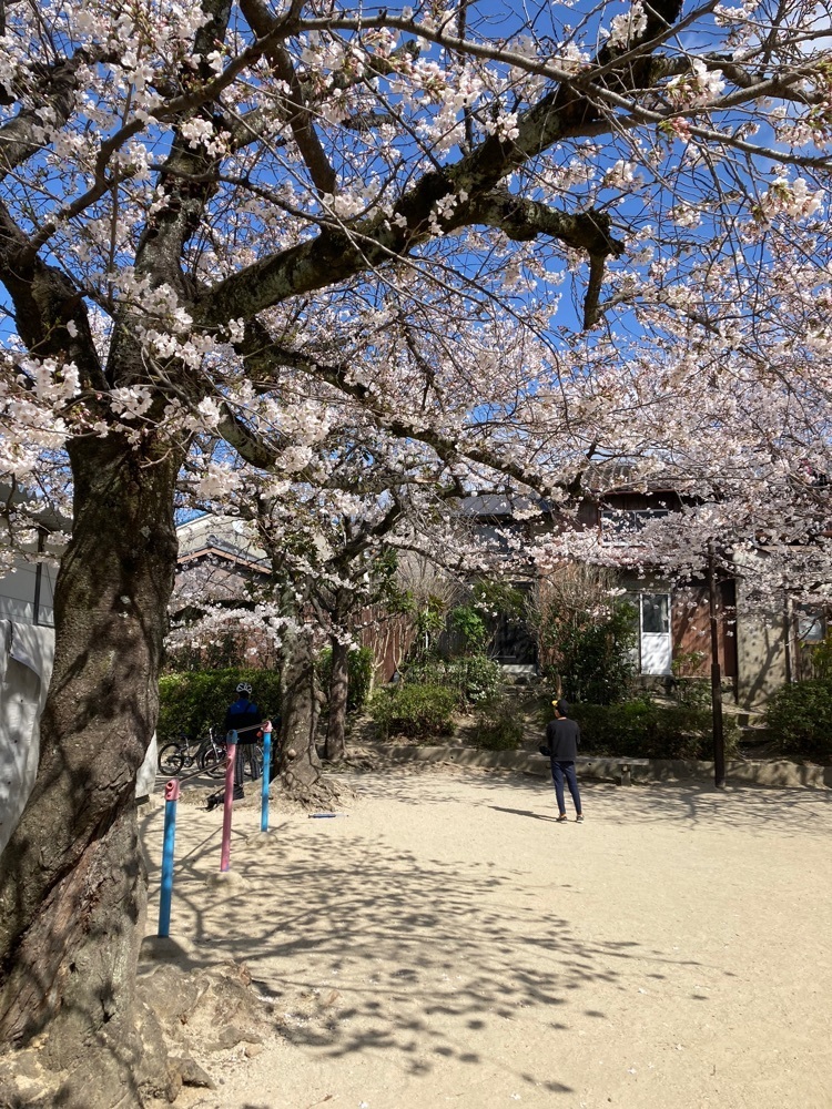 京都を巡る会・「武」さんが投稿した梅香堂（ばいこうどう）に関する口コミの画像