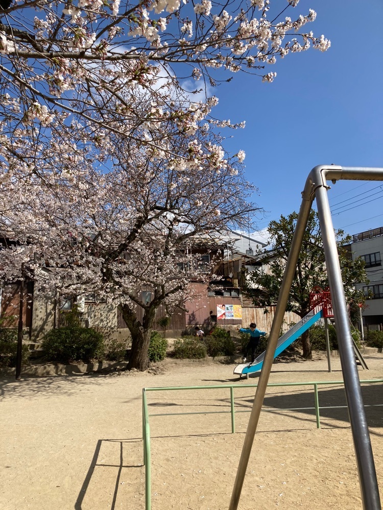 京都を巡る会・「武」さんが投稿した梅香堂（ばいこうどう）に関する口コミの画像