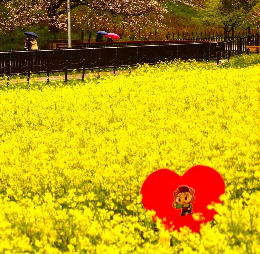 ビンカさんが投稿した福嶋屋に関する口コミの画像