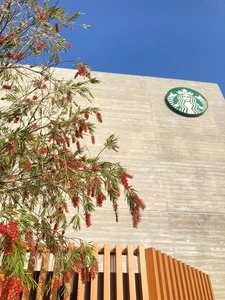 スターバックスコーヒー 沖縄本部町店
