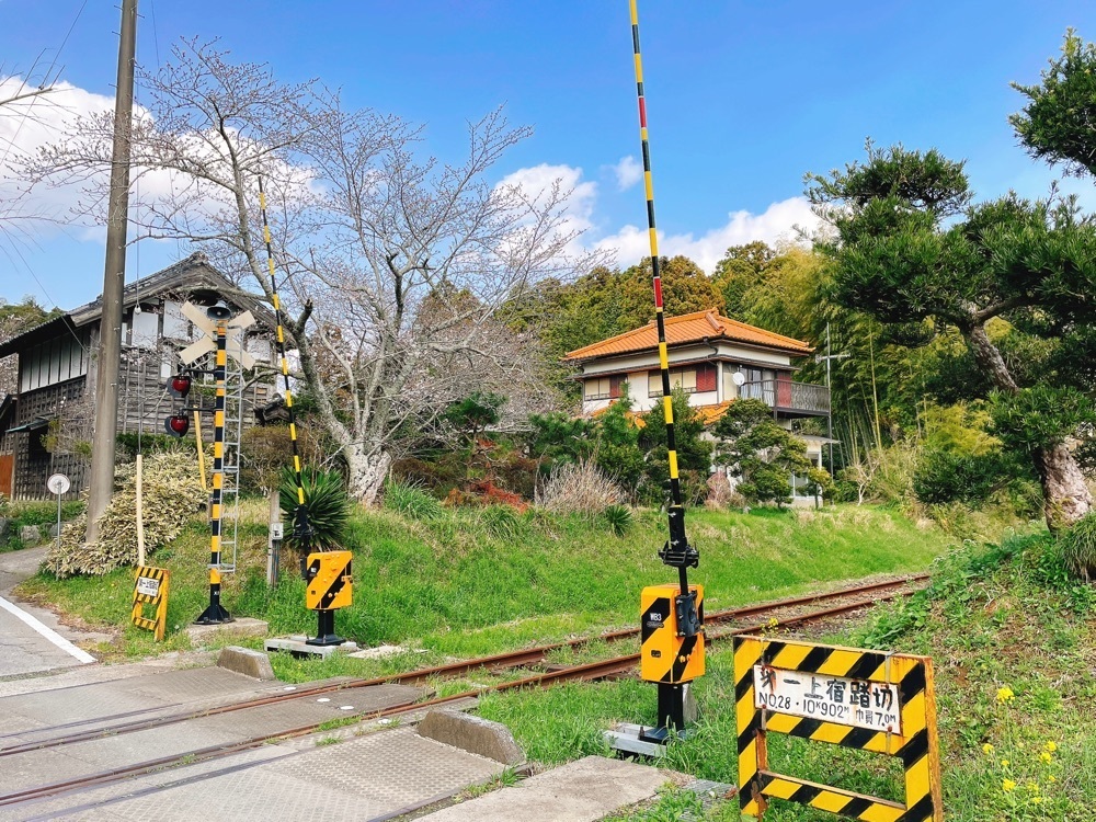 active34さんが投稿したパスタ家に関する口コミの画像