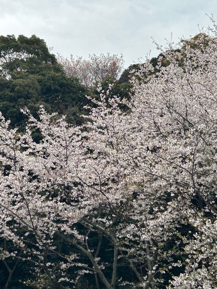 りょう.Ｋさんが投稿した可也SUN（カヤサン）に関する口コミの画像