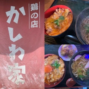 かしわ家