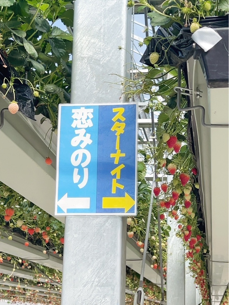 mariさんが投稿したグランベリー大地に関する口コミの画像