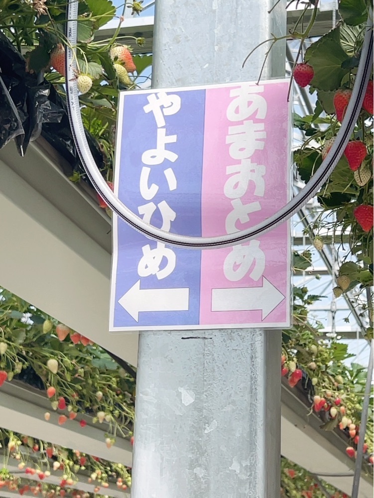 mariさんが投稿したグランベリー大地に関する口コミの画像