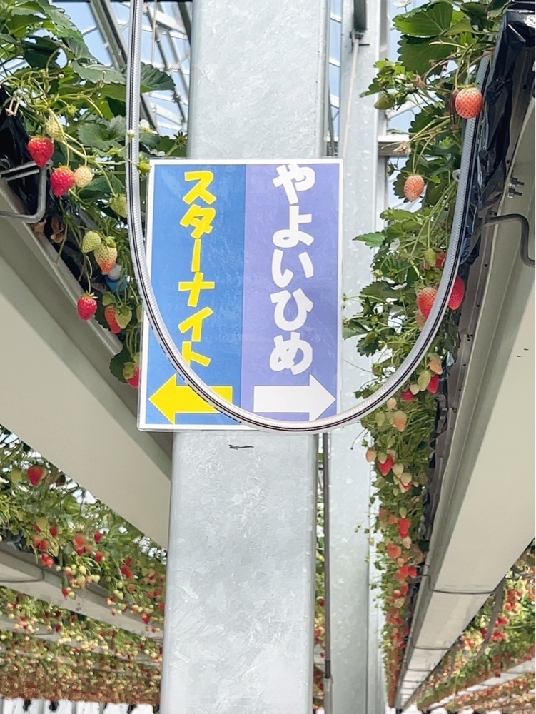mariさんが投稿したグランベリー大地に関する口コミの画像