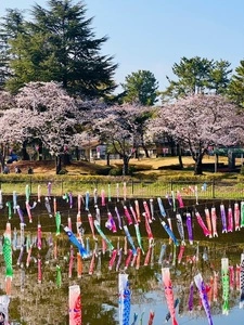 つつじが岡第二公園の彼岸花