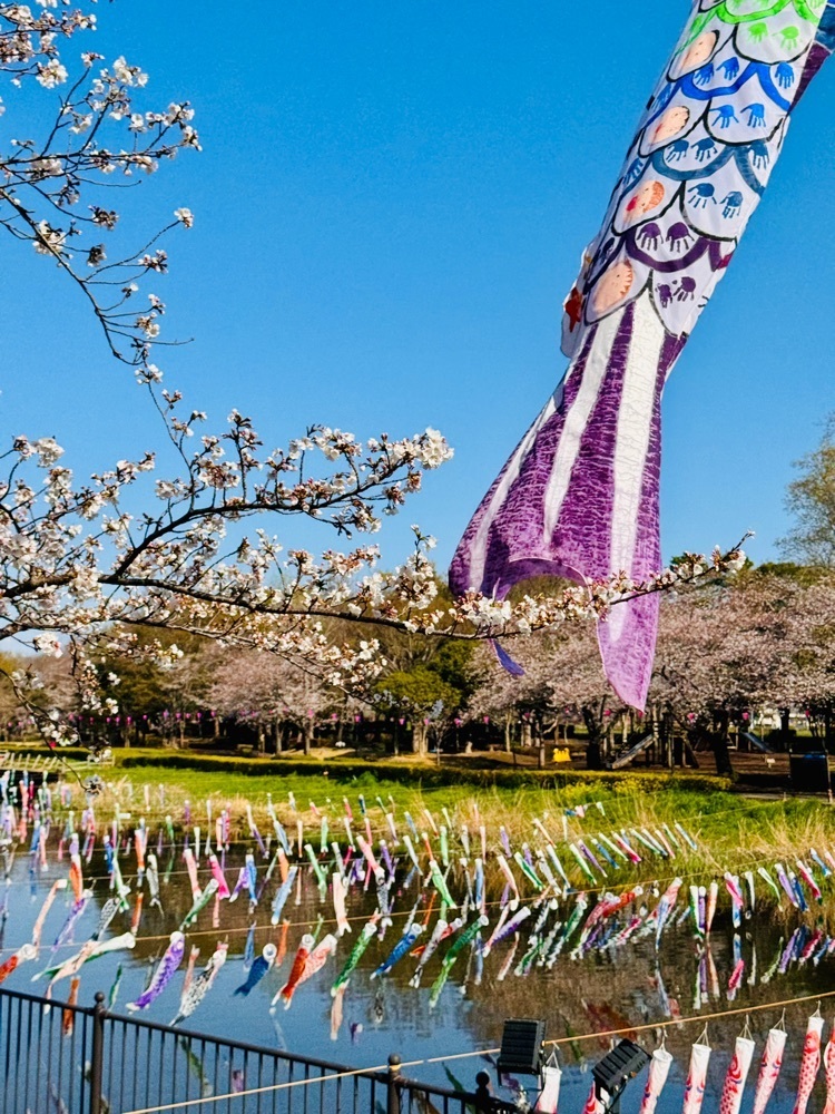nico☺︎さんが投稿したつつじが岡第二公園の彼岸花に関する口コミの画像