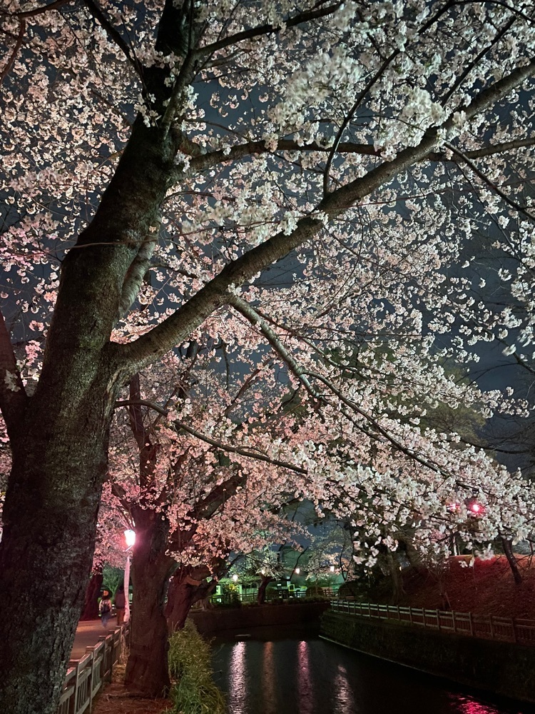 maaasanさんが投稿した小泉城址に関する口コミの画像