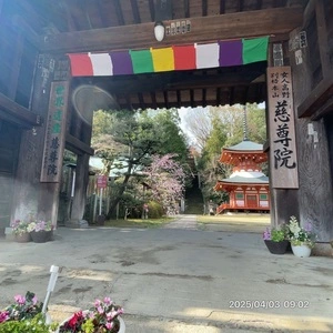 慈尊院