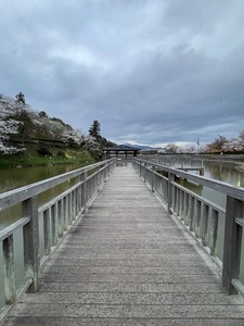 清水船越堤公園