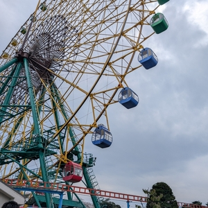 華蔵寺公園のつつじ
