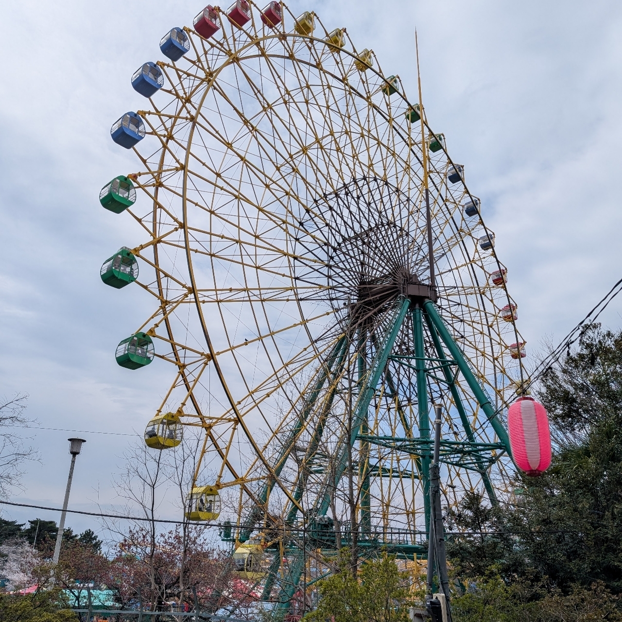 Cates (*^o^*)❤️さんが投稿した華蔵寺公園のつつじに関する口コミの画像